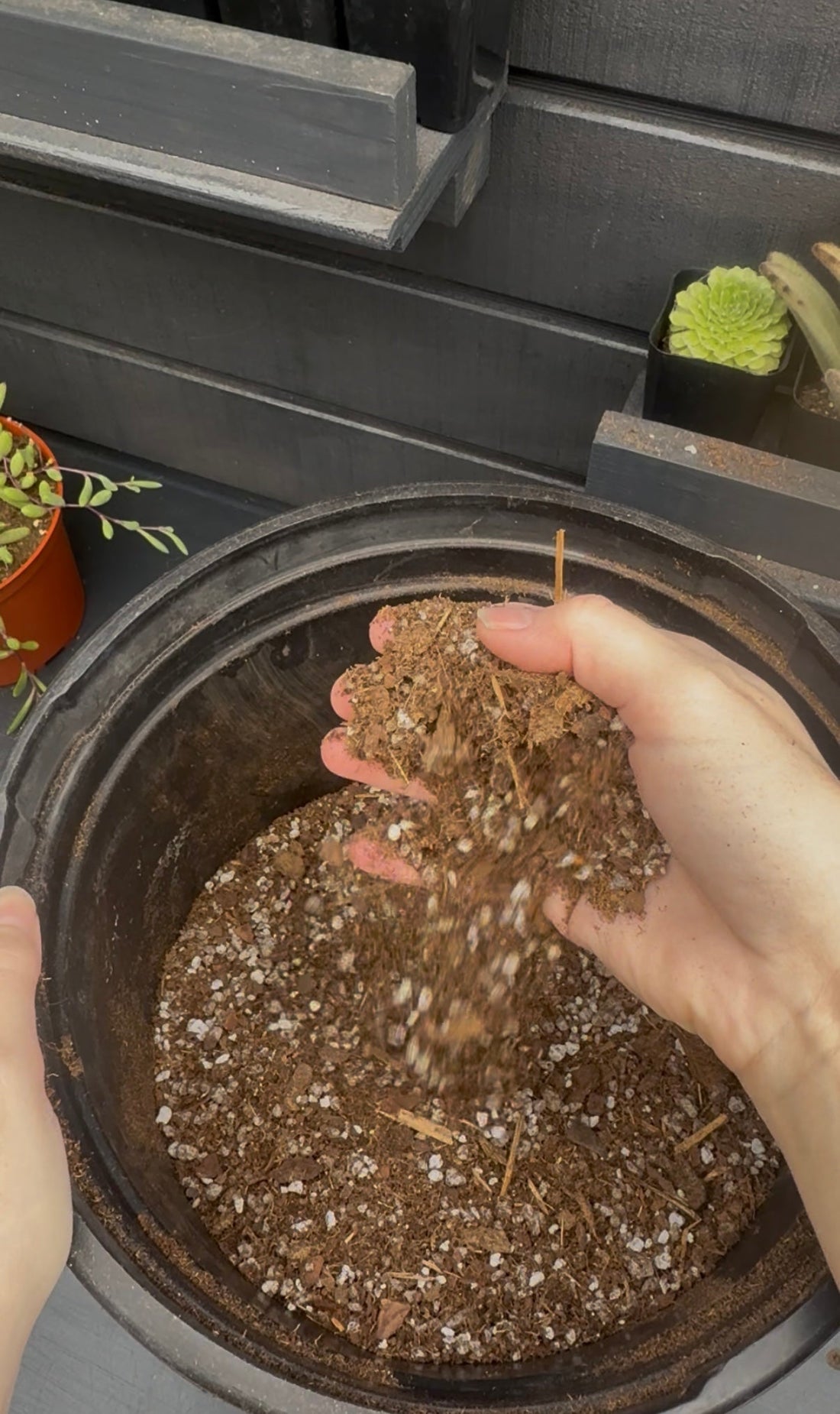 DIY Succulent Soil Mix (Fast Draining + Beginner Friendly)