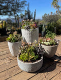 Everything You Need to Know About Succulent Pots