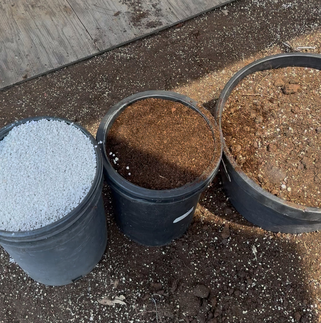 The Truth About Succulent Soil: Why There Isn’t One “Perfect” Mix