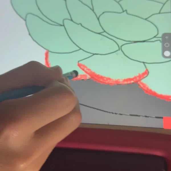 The Story Behind Our Illustrated Care Cards