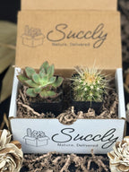 Succly Subscription Box image 6