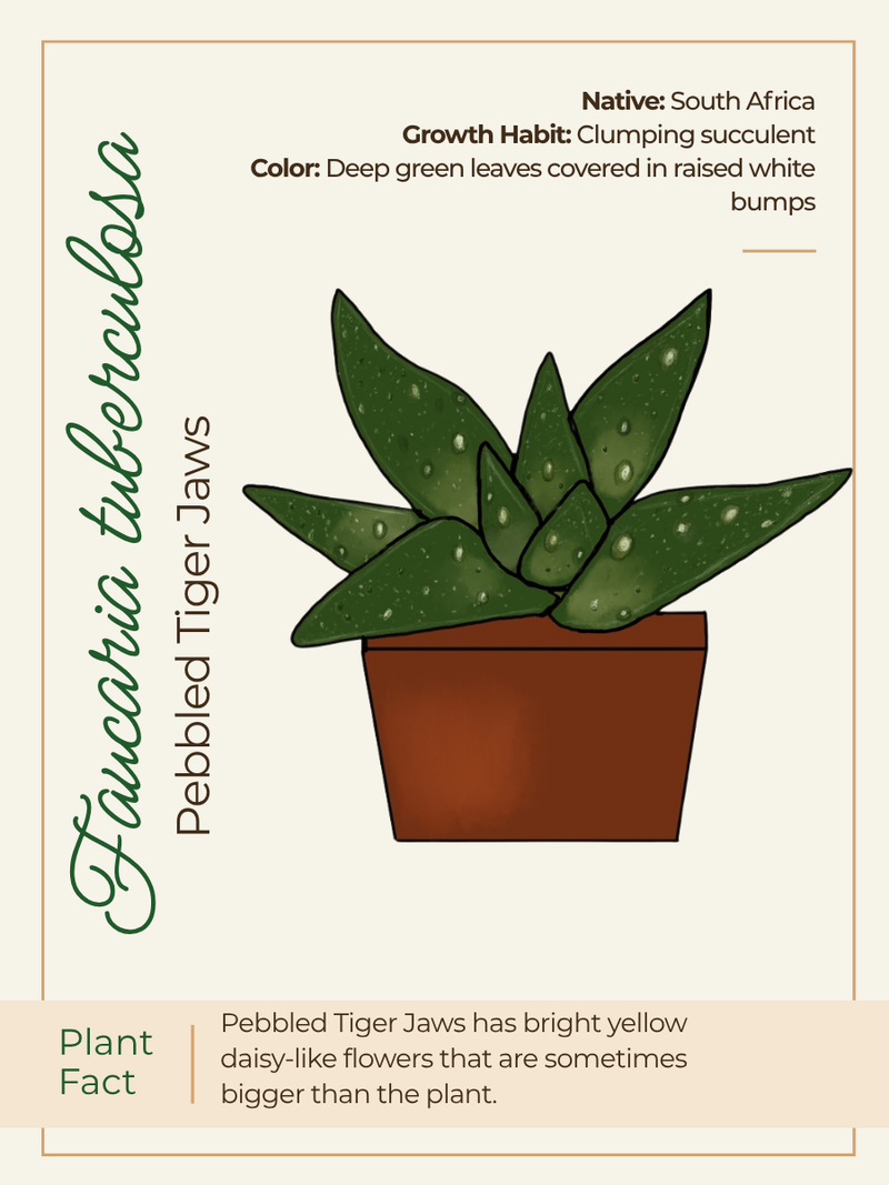 Card 1 Front