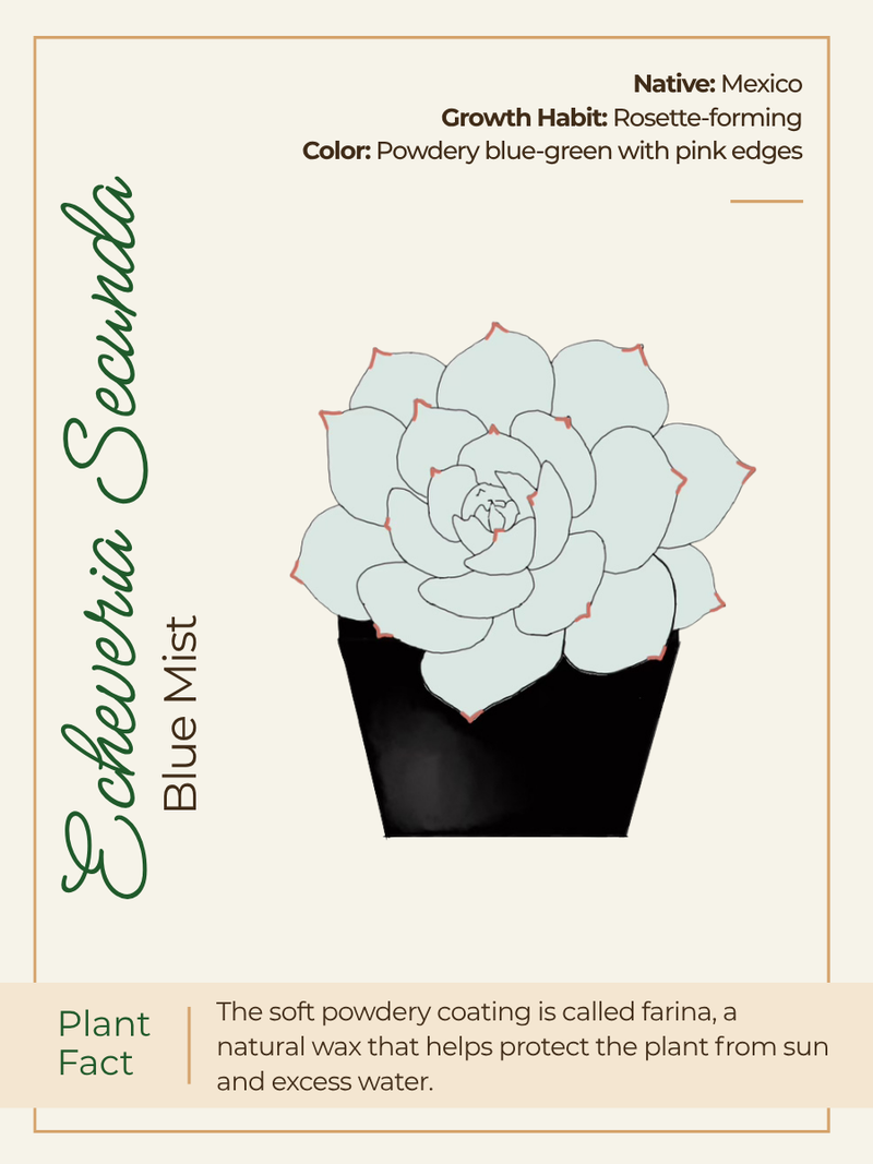 Card 2 Front