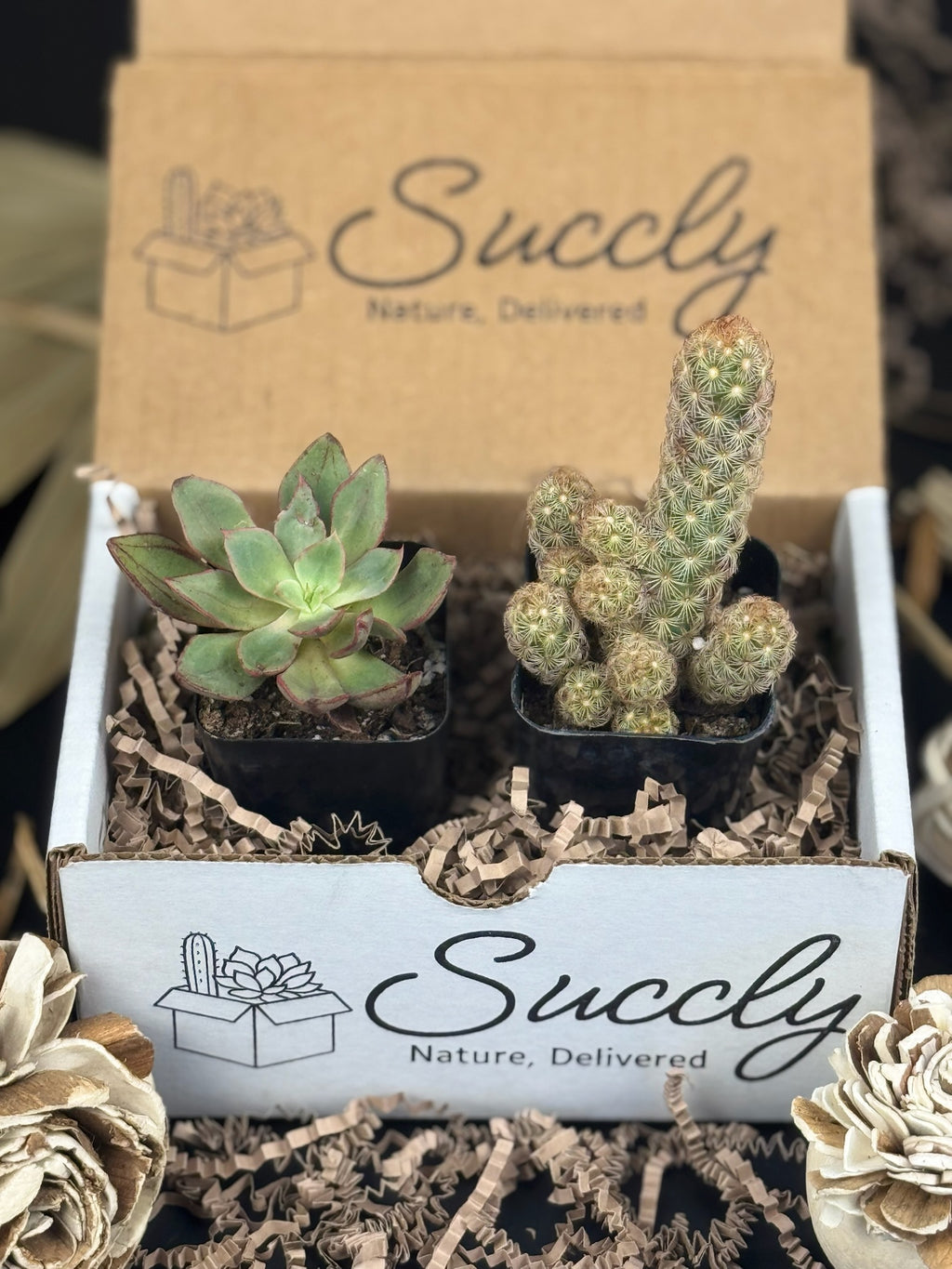 Succly Subscription Box image 4