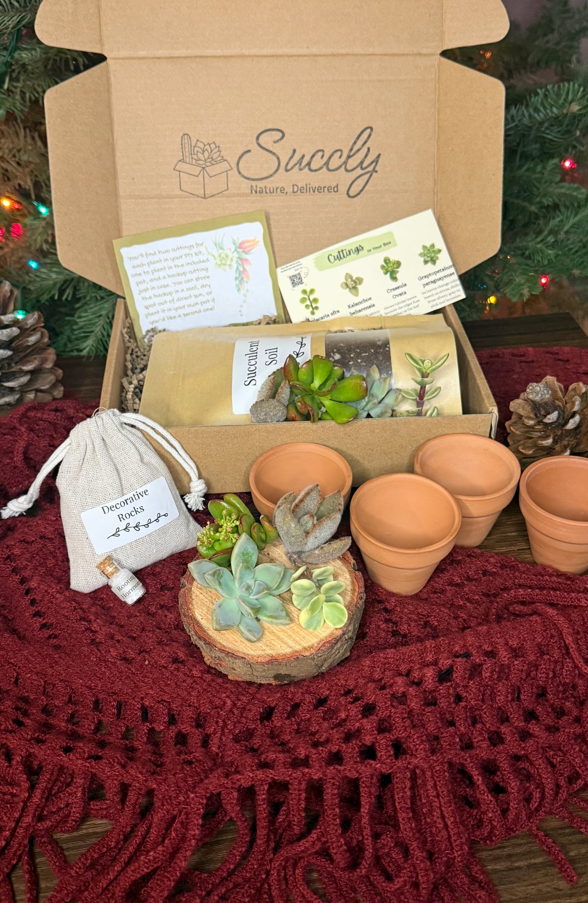 succulent shipping Succly PIY Kit (plant it yourself)