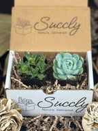 Succly Subscription Box image 1