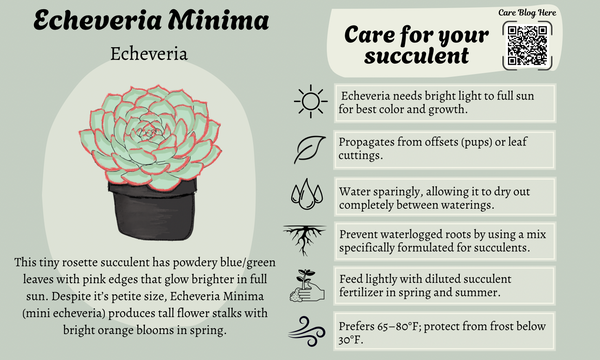 September 2025 Card 2