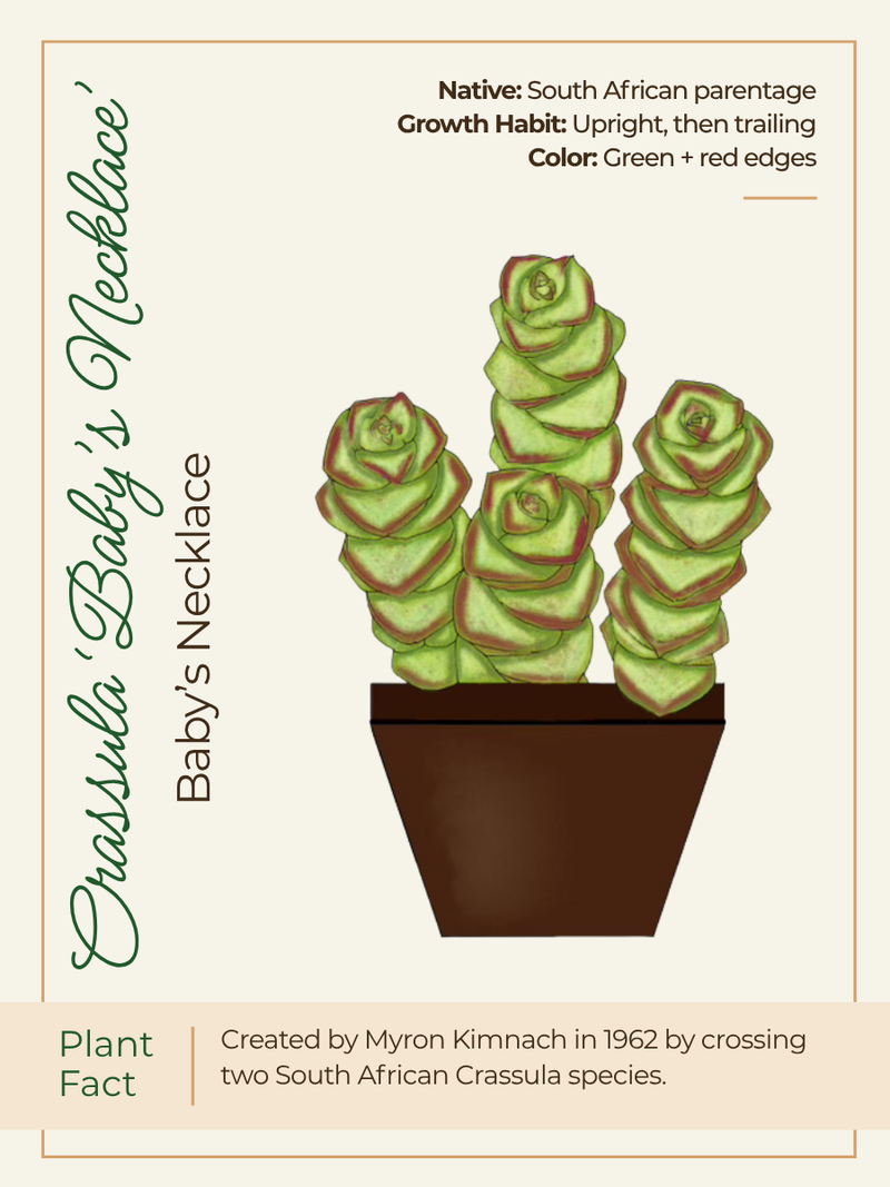 Card 2 Front