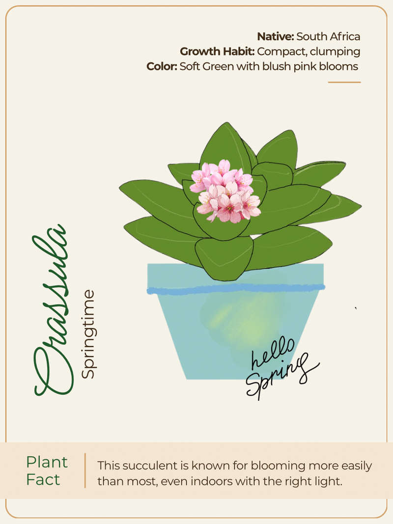 Card 1 Front