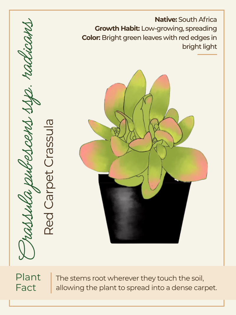 Card 1 Front
