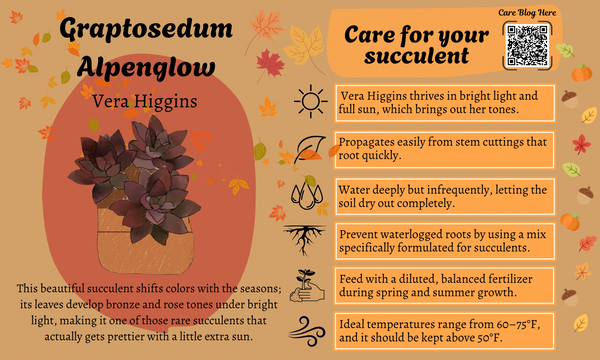 November 2025 Card 1