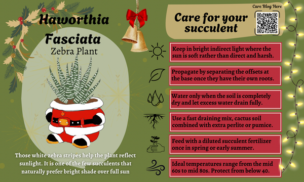 December 2025 Card 1