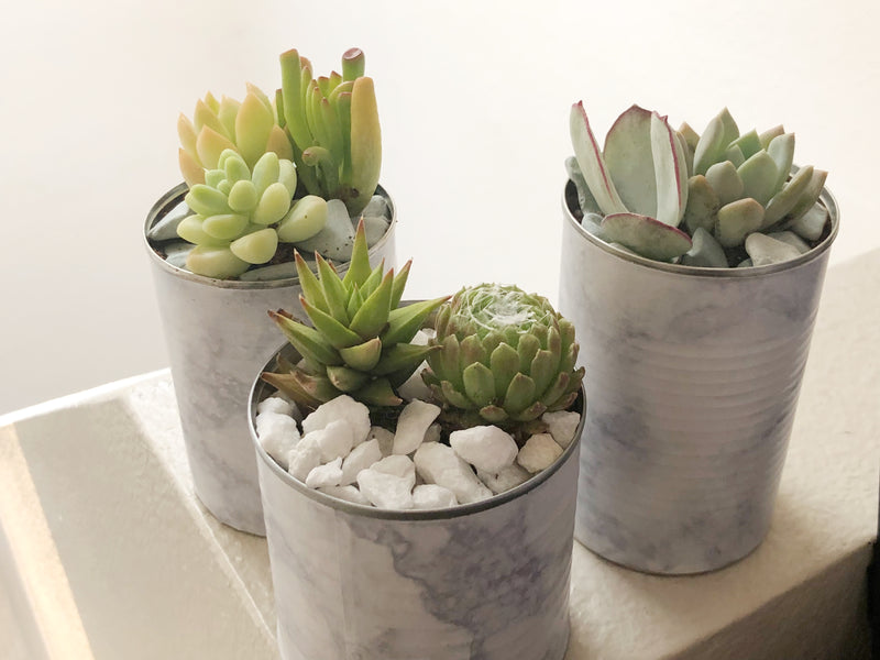 Marble Cans with drainage holes