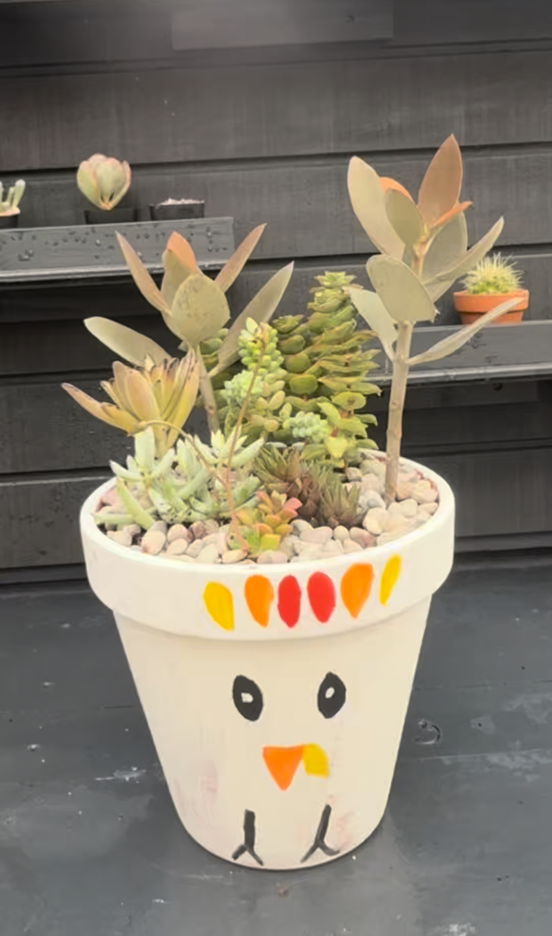 Turkey Succulent Planter