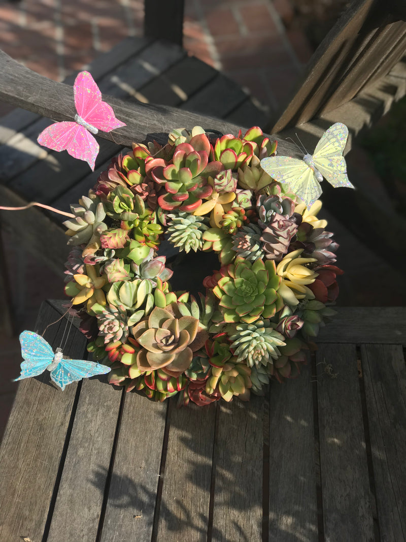 Succulent Wreath