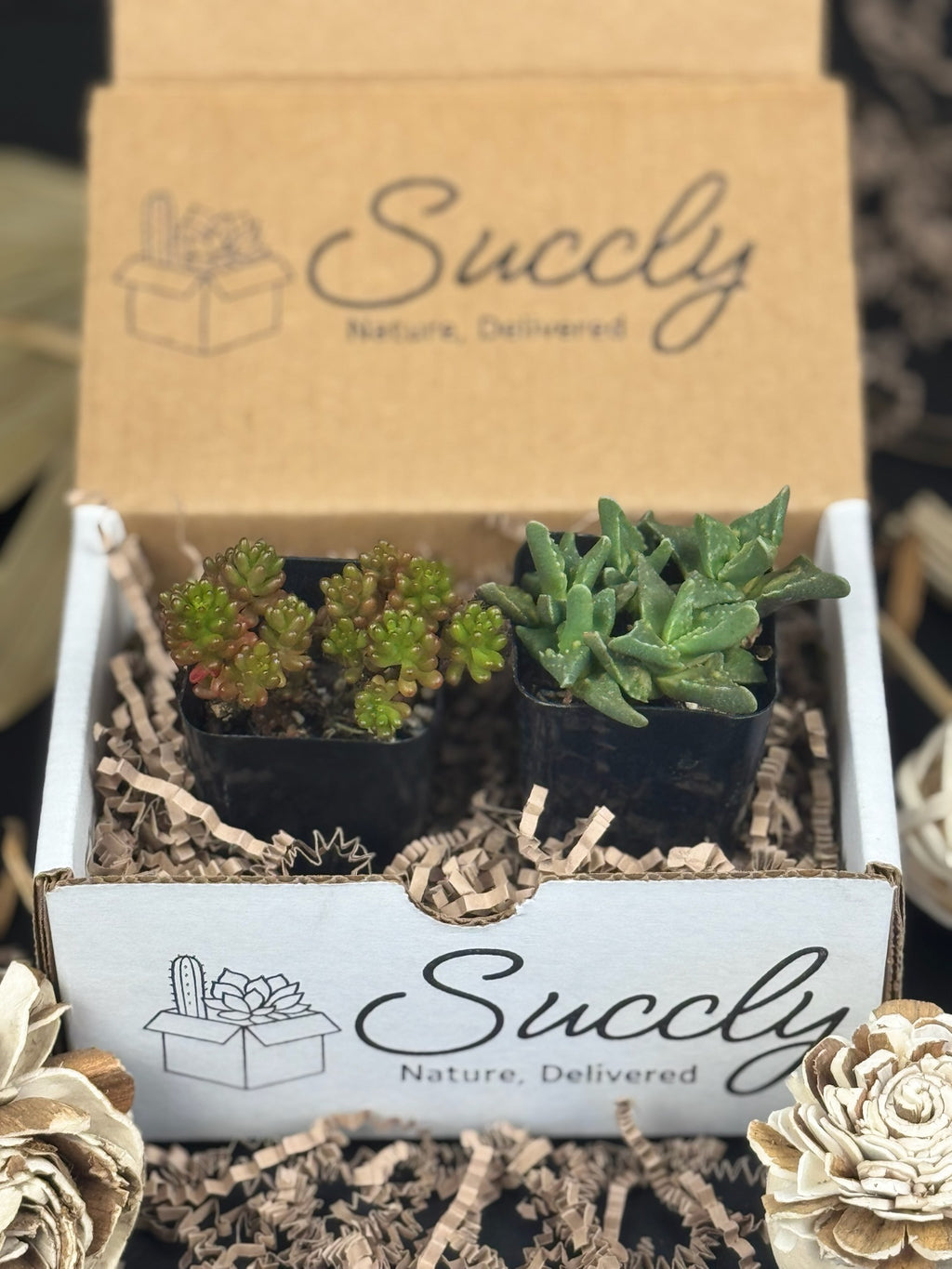 Succly Subscription Box
