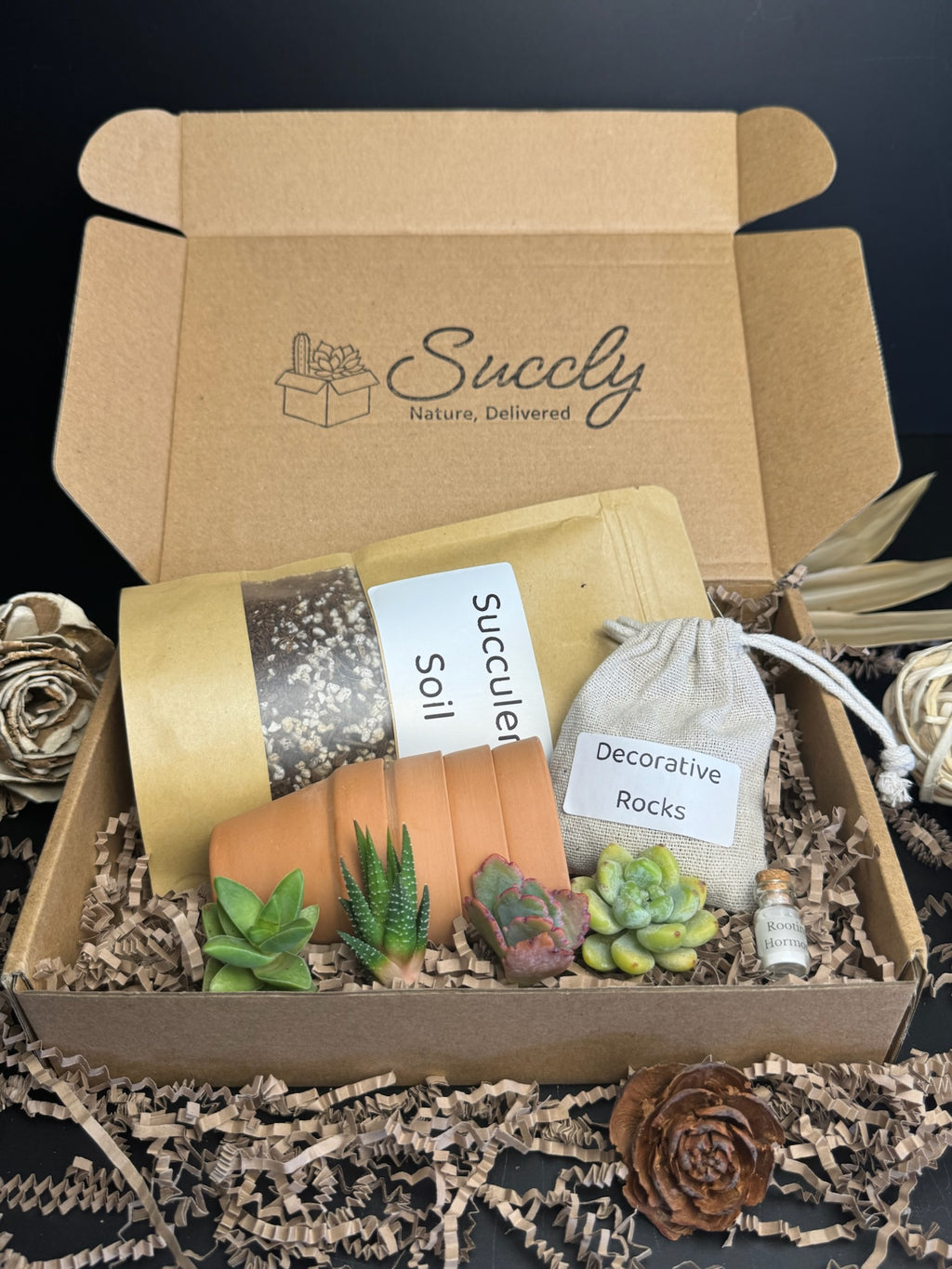 natural succulents gift box Succly PIY Kit (plant it yourself)
