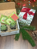 Succly Subscription Box