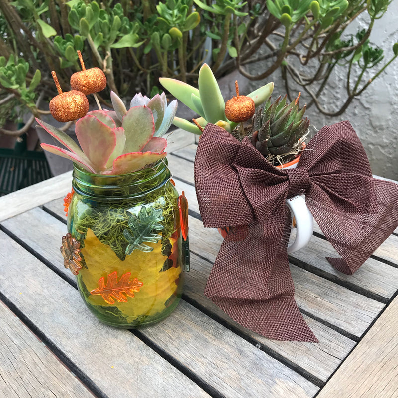Mason Jars with moss