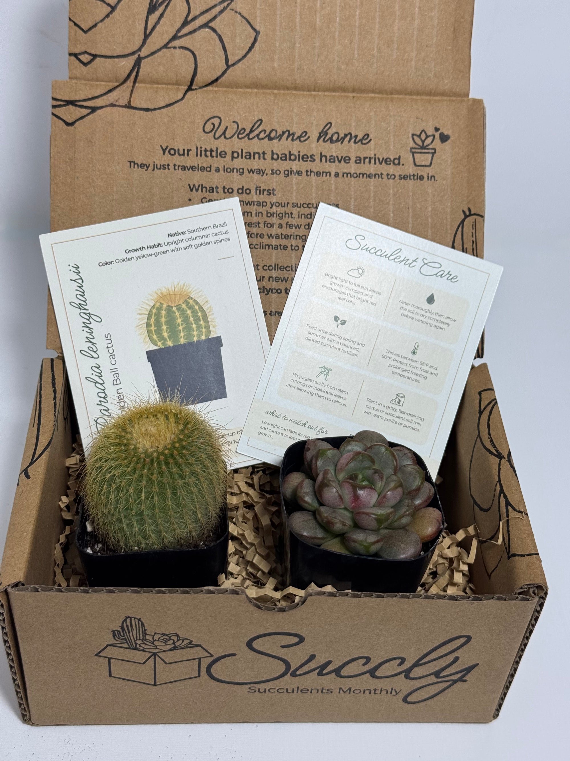 Succly Subscription Box