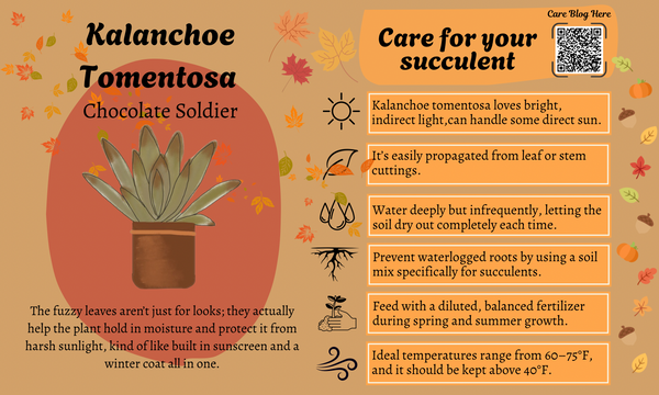 November 2025 Card 2