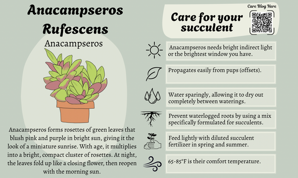 September 2025 Card 1