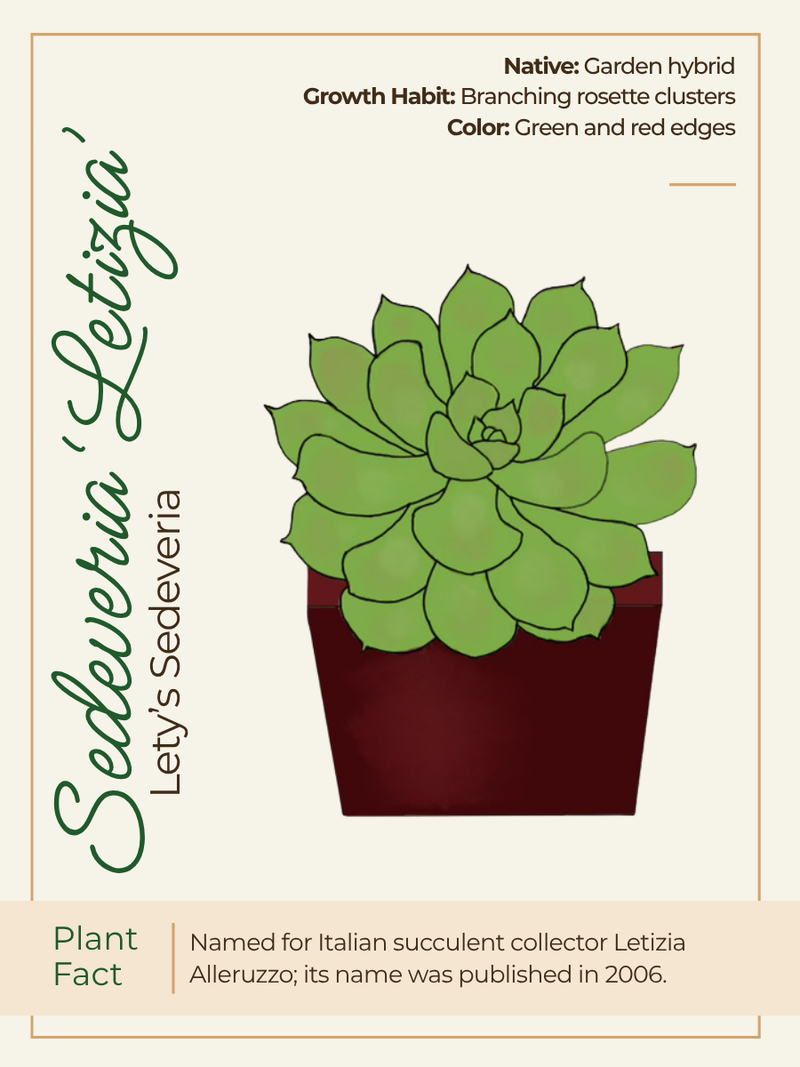 Card 1 Front