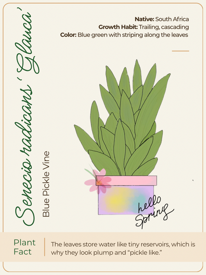 Card 2 Front