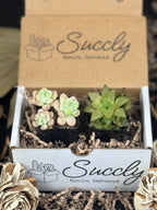 Succly Subscription Box image 2