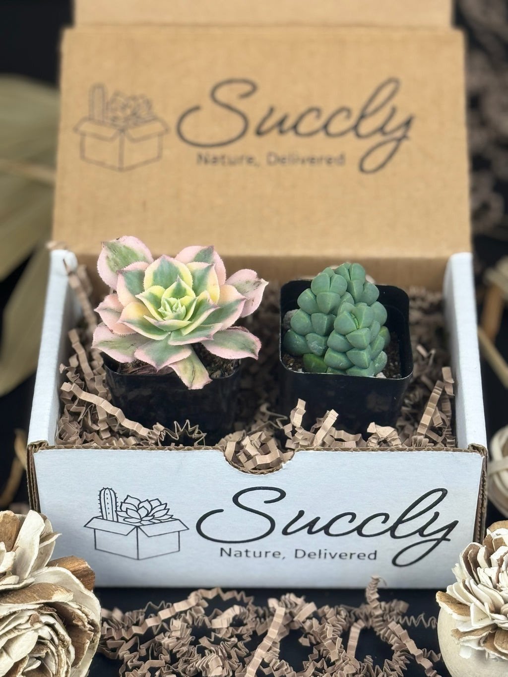 Succly Subscription Box image 3